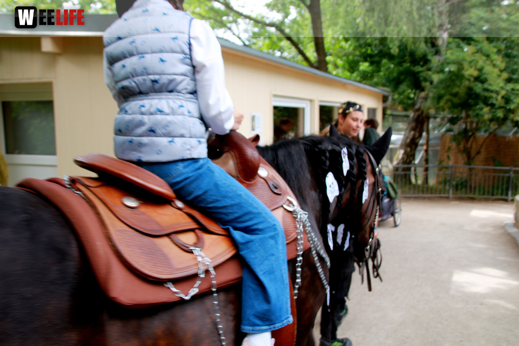Großes Piraten-Sommerfest 2022