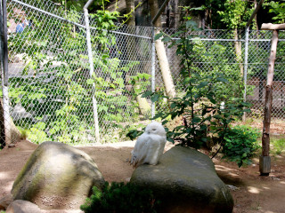 Foto 248255 im Album