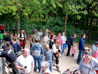 Foto 248260 im Album
