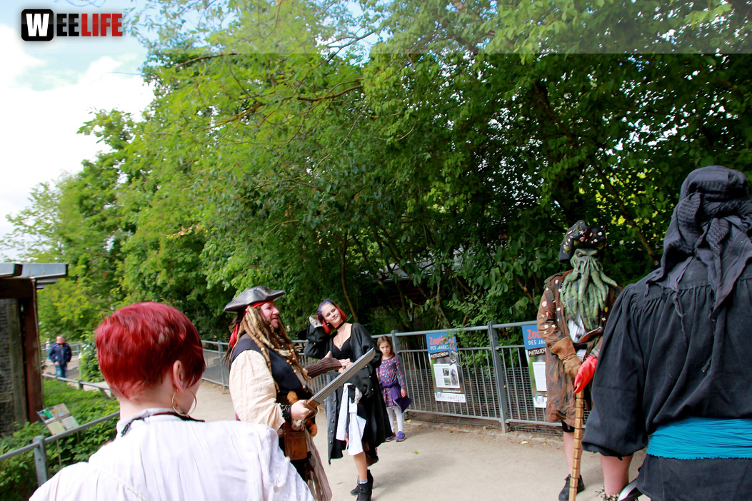 Großes Piraten-Sommerfest 2022
