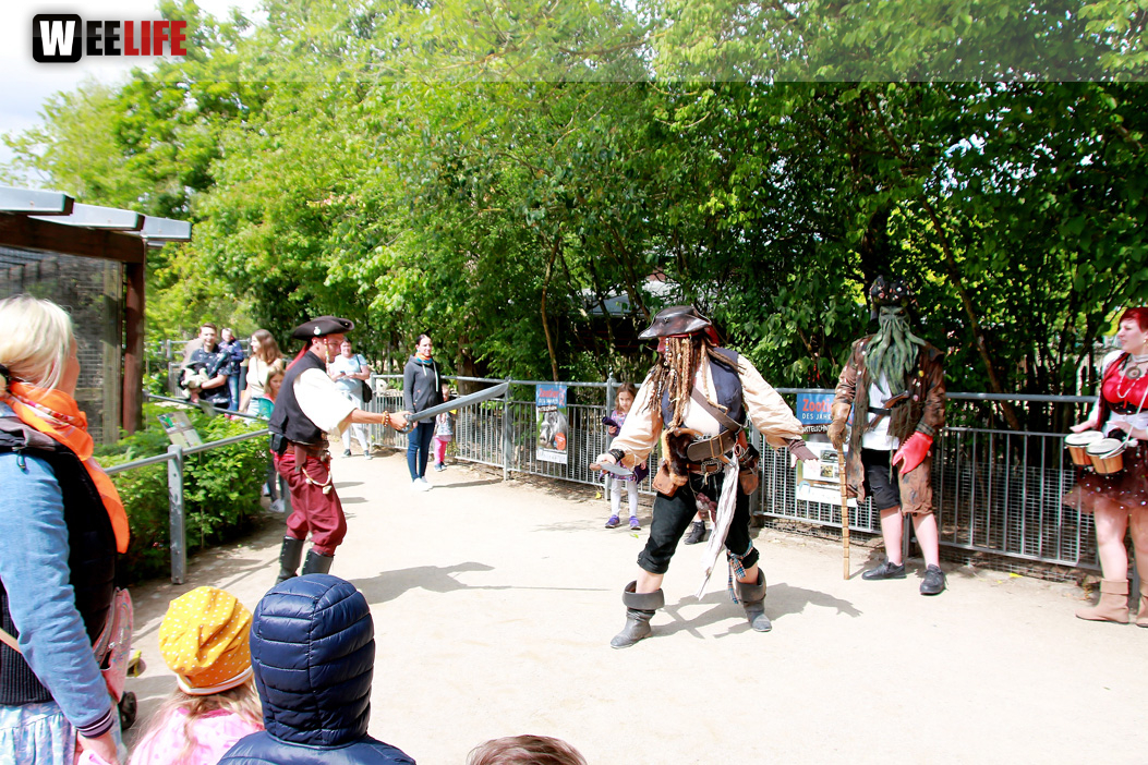 Großes Piraten-Sommerfest 2022