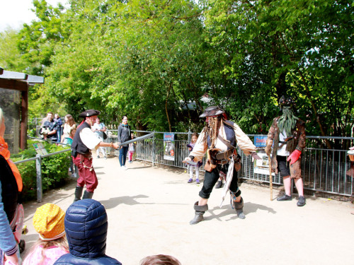 Großes Piraten-Sommerfest 2022 – Foto 59