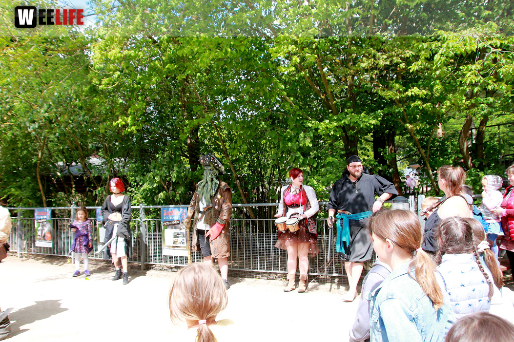 Großes Piraten-Sommerfest 2022