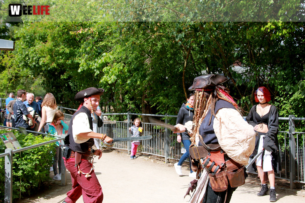 Großes Piraten-Sommerfest 2022
