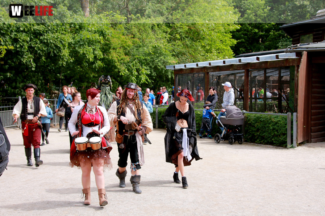 Großes Piraten-Sommerfest 2022