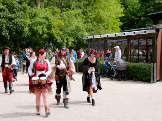 Foto 248279 im Album