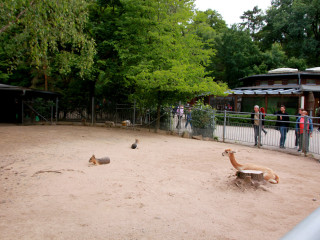 Foto 248283 im Album