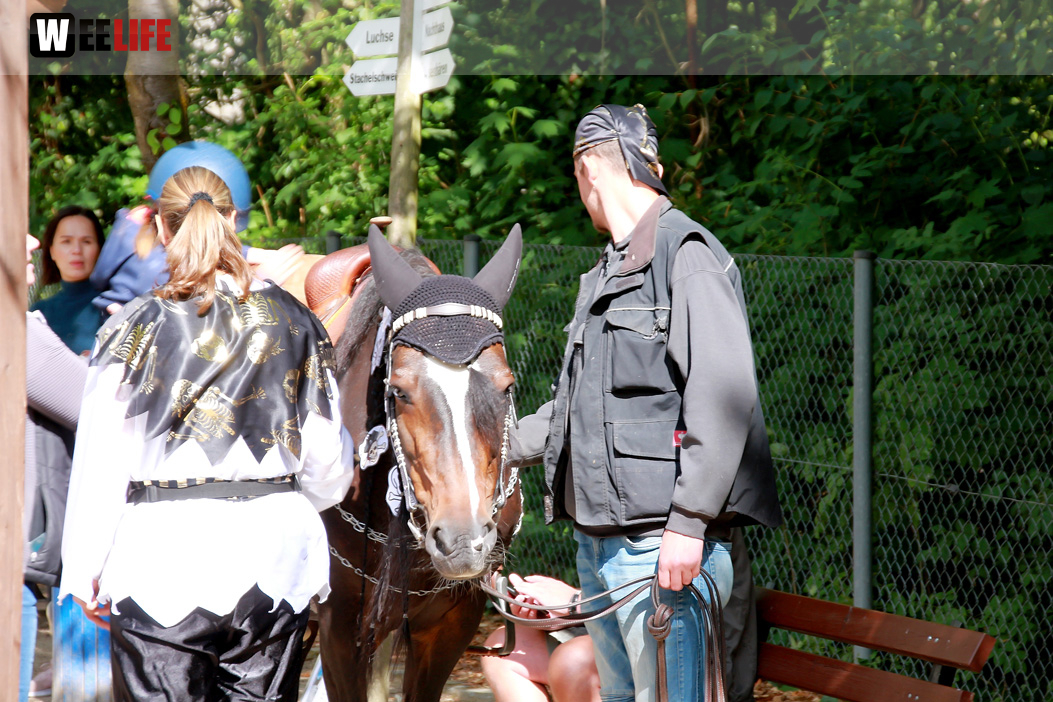 Großes Piraten-Sommerfest 2022