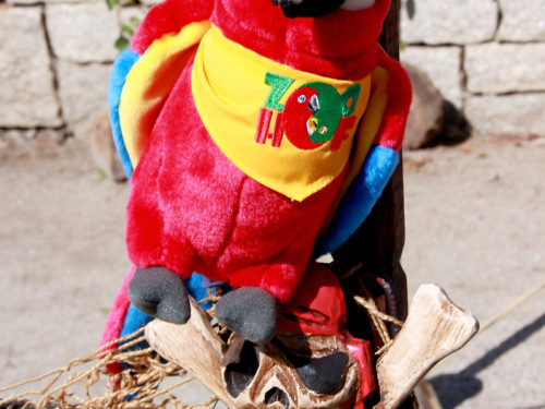 Großes Piraten-Sommerfest 2022 – Foto 122