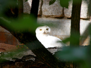 Foto 248337 im Album