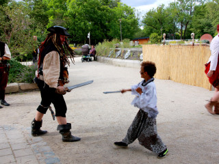 Foto 248341 im Album