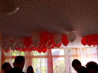 Foto 248359 im Album