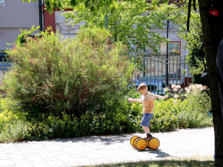 Foto 248363 im Album