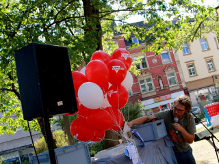 Foto 248402 im Album
