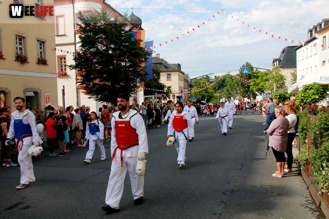 Hofer Volksfest Umzug 2022