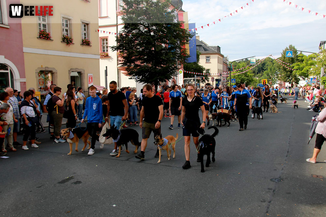Hofer Volksfest Umzug 2022