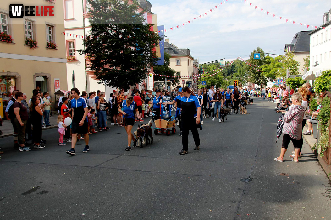 Hofer Volksfest Umzug 2022