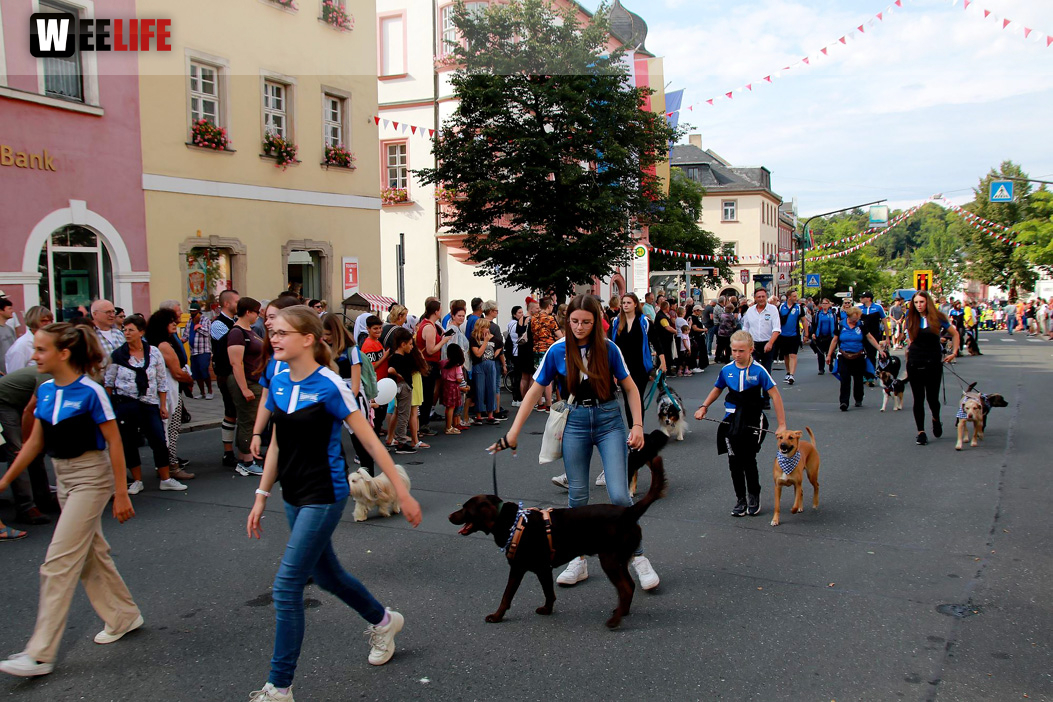 Hofer Volksfest Umzug 2022