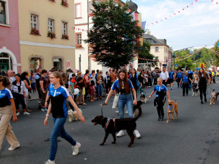 Foto 248780 im Album