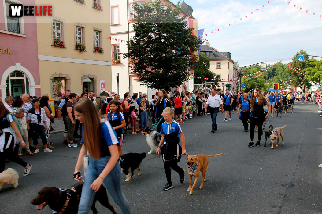 Hofer Volksfest Umzug 2022
