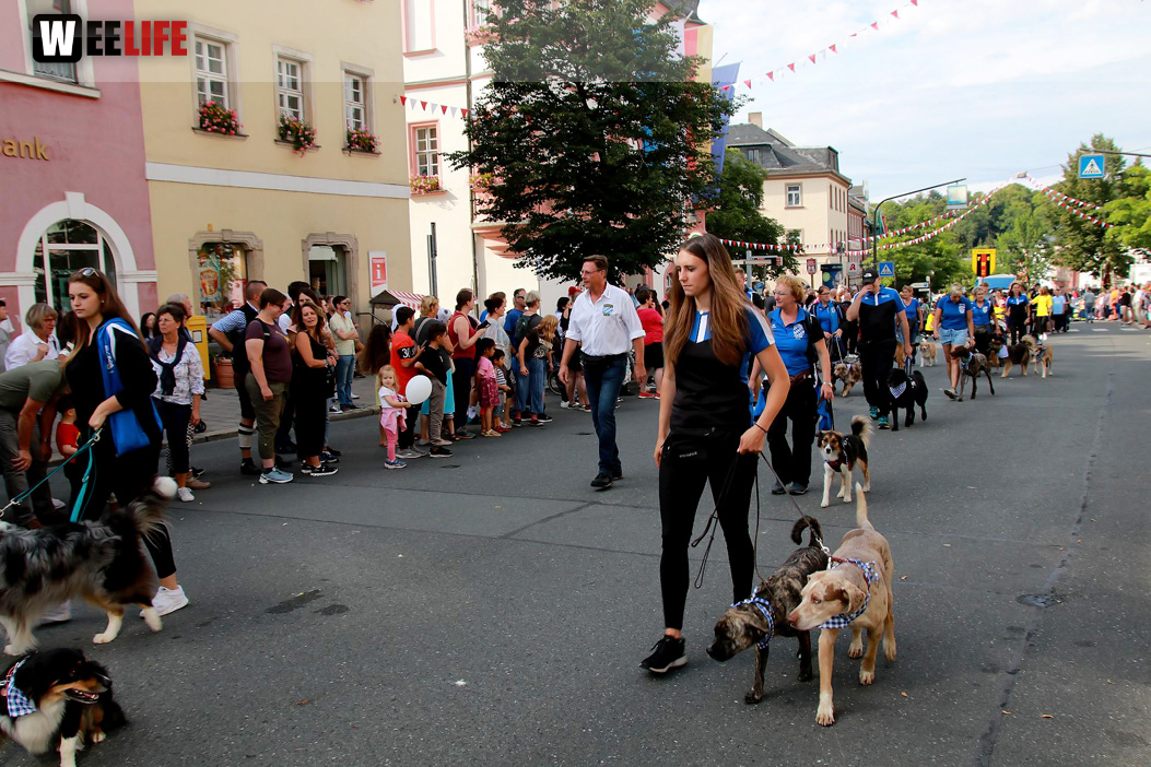 Hofer Volksfest Umzug 2022