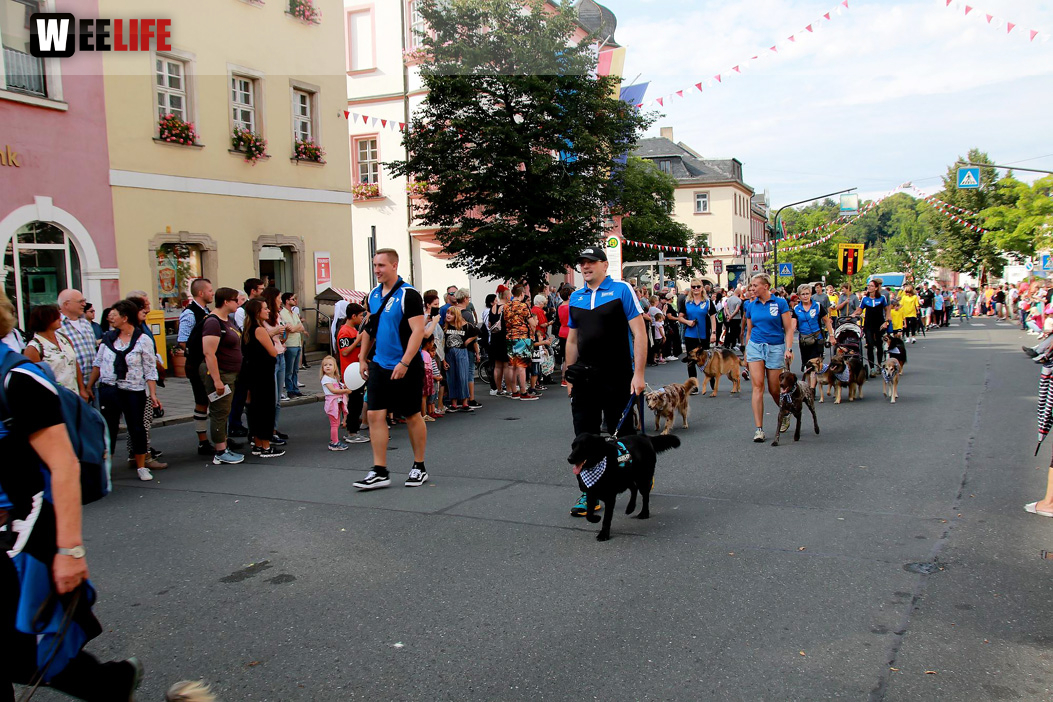 Hofer Volksfest Umzug 2022