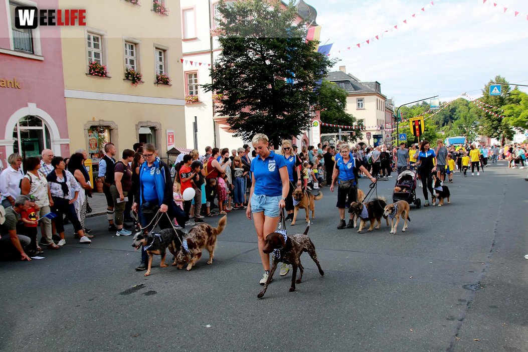 Hofer Volksfest Umzug 2022