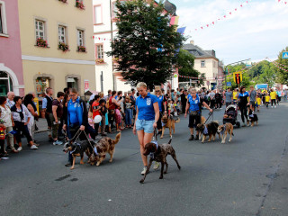 Vorschau des vorherigen Fotos