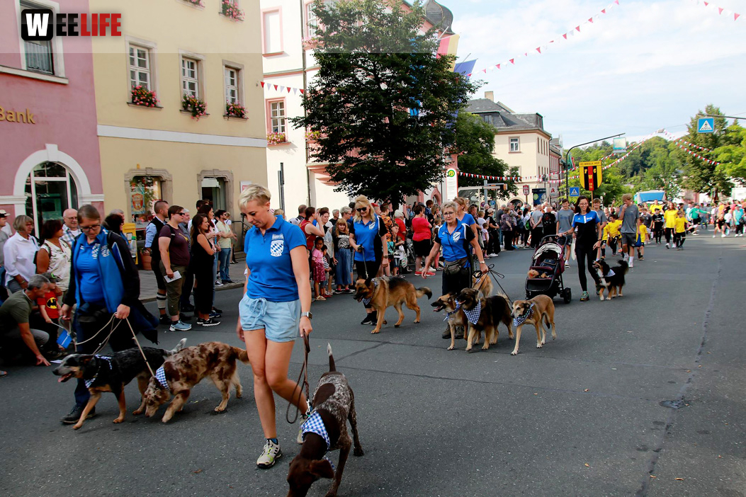 Hofer Volksfest Umzug 2022