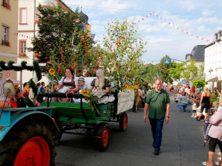 Foto 248812 im Album