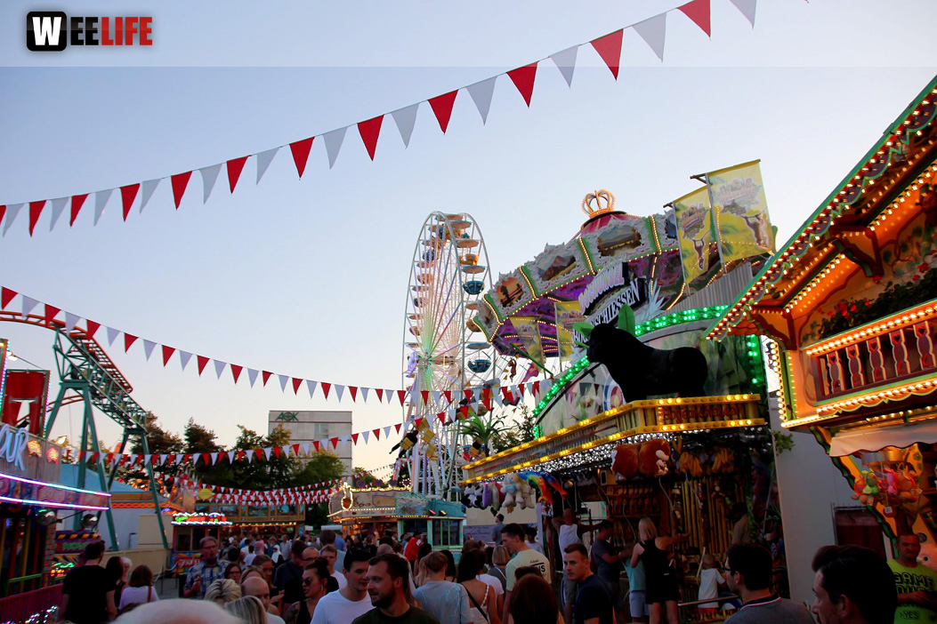 Hofer Volksfest 2022 Rockwerk Schlagerparty 4.8.22