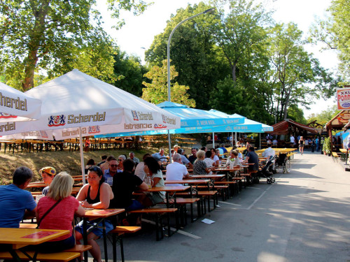 Hofer Volksfest 2022 Nachmittag mit Play again Sam light 5.8.22 – Foto 2