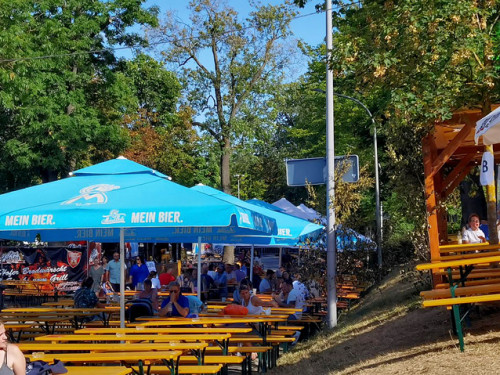 Hofer Volksfest 2022 Nachmittag mit Play again Sam light 5.8.22 – Foto 13