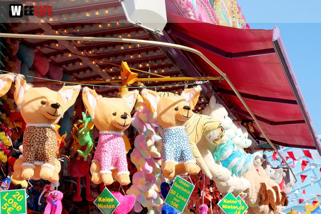 Hofer Volksfest 2022 Nachmittag mit Play again Sam light 5.8.22