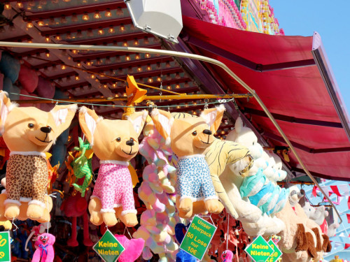 Hofer Volksfest 2022 Nachmittag mit Play again Sam light 5.8.22 – Foto 34