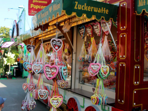 Hofer Volksfest 2022 Nachmittag mit Play again Sam light 5.8.22 – Foto 37