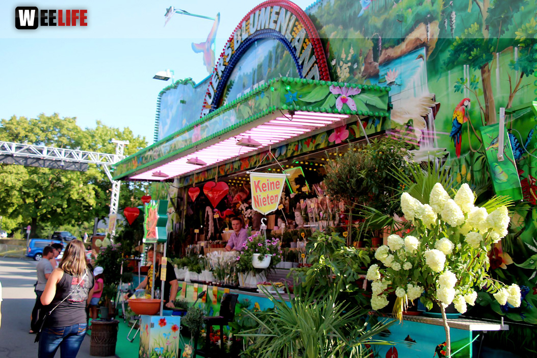 Hofer Volksfest 2022 Nachmittag mit Play again Sam light 5.8.22