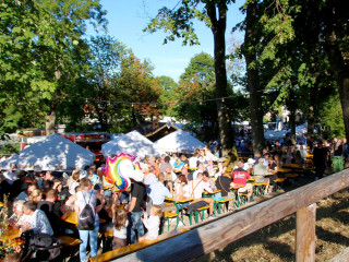 Foto 251168 im Album