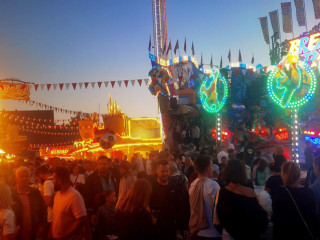 Foto 251237 im Album