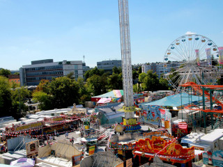 Foto 251338 im Album