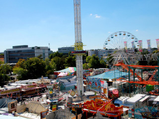 Foto 251341 im Album