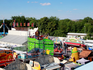 Foto 251344 im Album