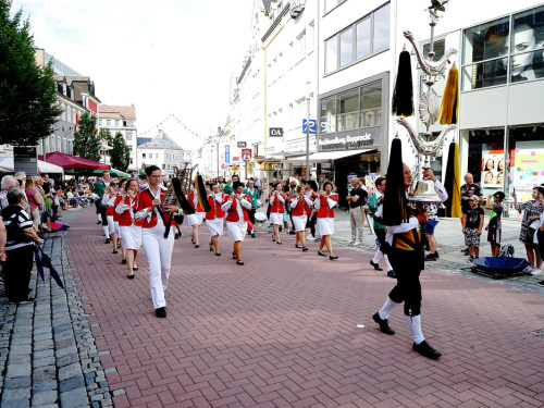 Hofer Volksfest Umzug 2022 – Foto 5