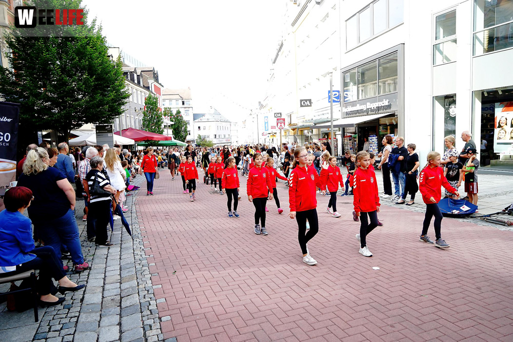 Hofer Volksfest Umzug 2022