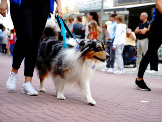 Foto 251491 im Album