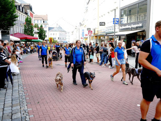 Vorschau des vorherigen Fotos