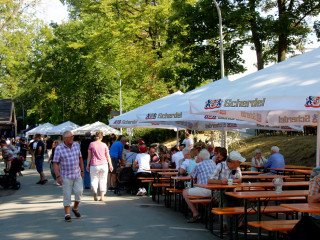 Foto 251794 im Album