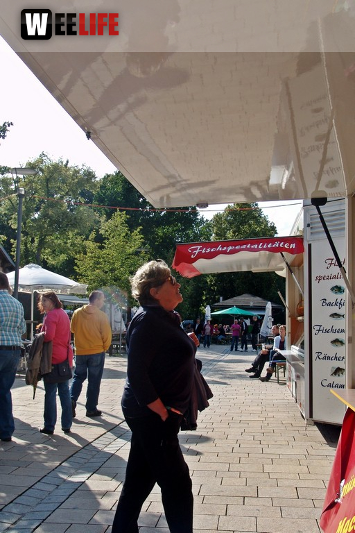 Altstadtfest