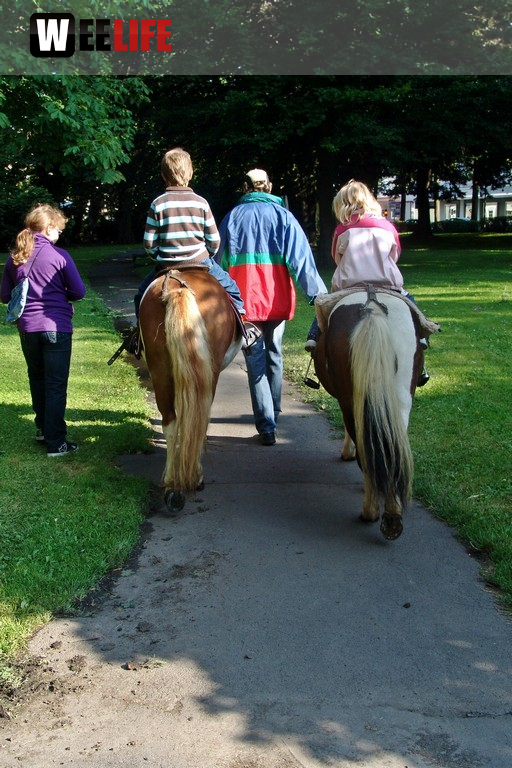 Altstadtfest