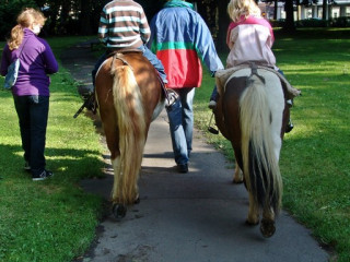 Foto 25181 im Album